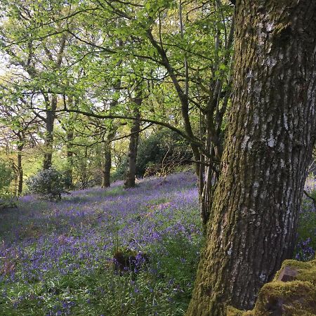 Willow Cottage, Gilchristland Organic Farm Closeburn Bagian luar foto