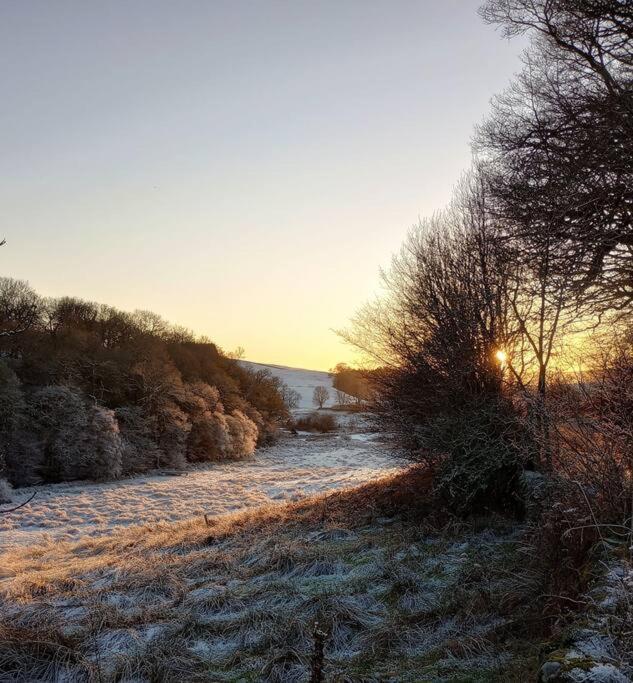 Willow Cottage, Gilchristland Organic Farm Closeburn Bagian luar foto