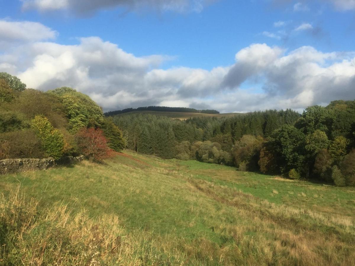 Willow Cottage, Gilchristland Organic Farm Closeburn Bagian luar foto