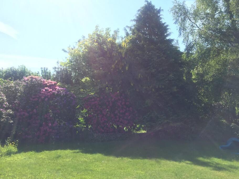 Willow Cottage, Gilchristland Organic Farm Closeburn Bagian luar foto